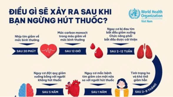 THUỐC LÁ CƯỚP ĐI 100.000 SINH MẠNG MỖI NĂM TẠI VIỆT NAM