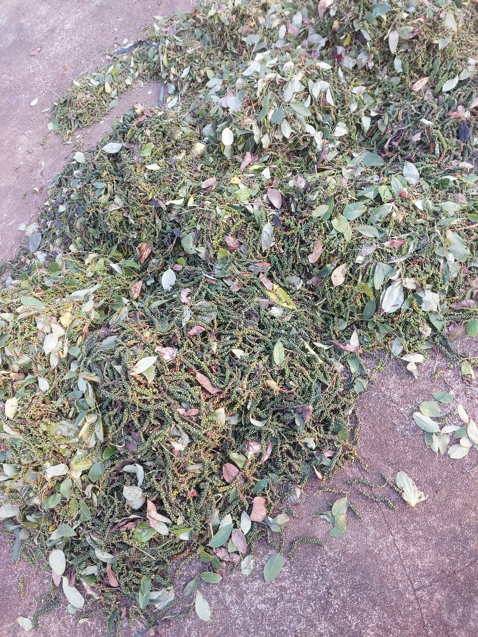 Tăng cường phòng ngừa trộm cắp nông sản
