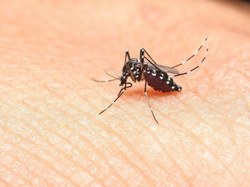 Kim Long đã có 13 ca sốt xuất huyết